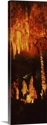 Stalactites and stalagmites in a cave, Carlsbad Caverns National Park, New Mexico IV
