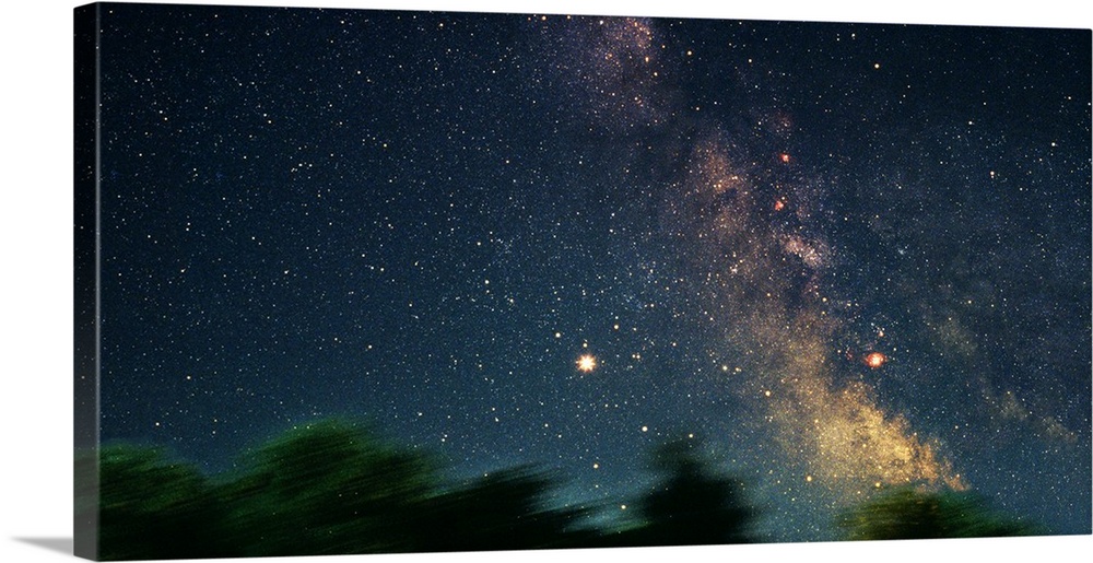 Star Fields of the Milky Way (Photo Illustration)
