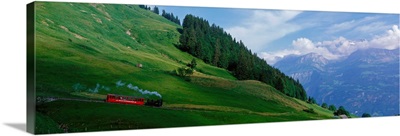 Steam Train near Brienz Switzerland