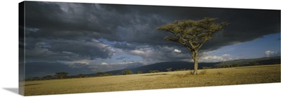 Storm clouds over a landscape, Tanzania