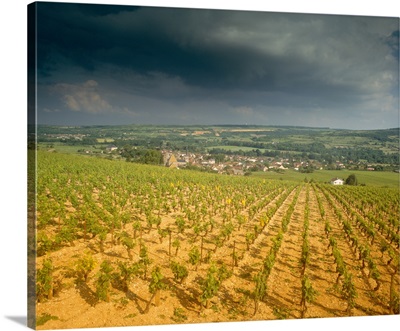 Storm clouds over vineyards, Chassagne-Montrachet, Cote De Beaune, Burgundy, France