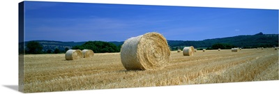 Straw Bales Cotswold Gloucestershire England