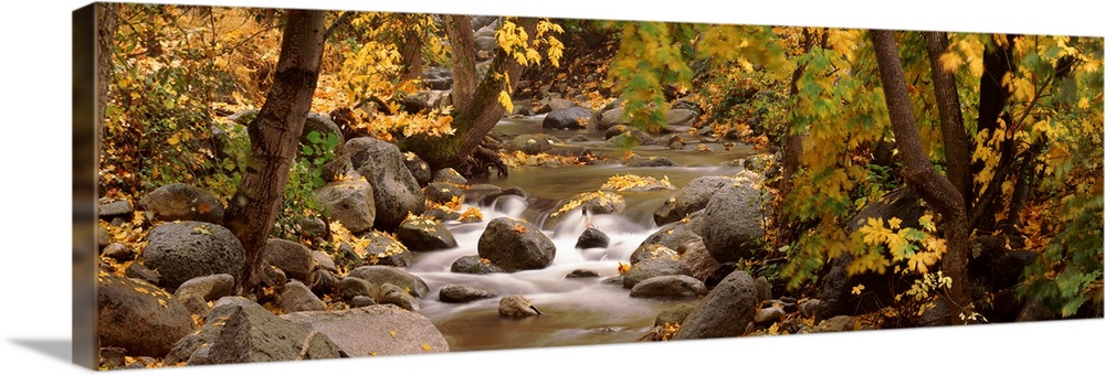 Panoramic photograph of water running through autumn forest over large rocks an boulders.