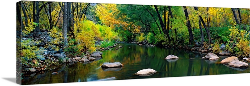 Stream Cottonwood Canyon AZ | Great Big Canvas