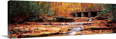 Stream flowing in autumn forest, Cucunber Run, Ohiopyle State Park, Fayette County, Pennsylvania,