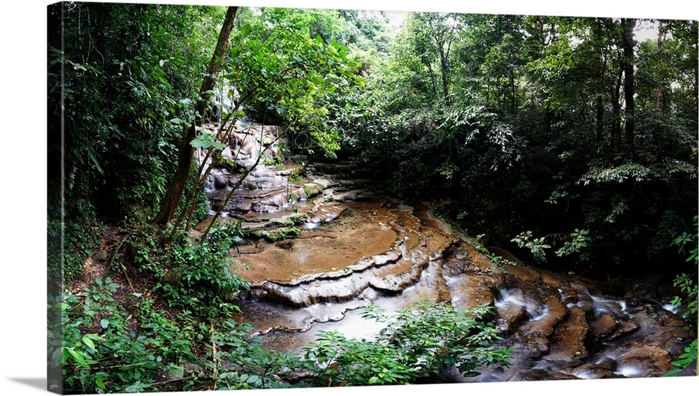 Stream flowing through a forest, Palenque, Chiapas, Mexico.