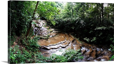 Stream flowing through a forest, Palenque, Chiapas, Mexico
