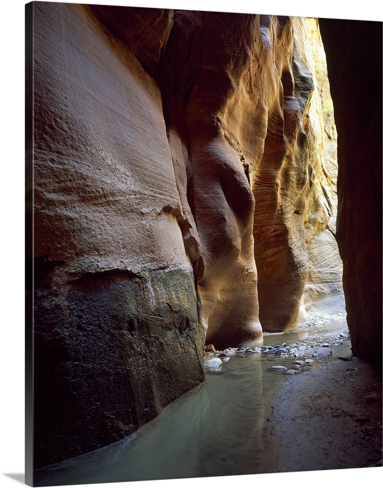 Stream flowing through a slot canyon, Orderville Canyon, Zion National Park, Utah,