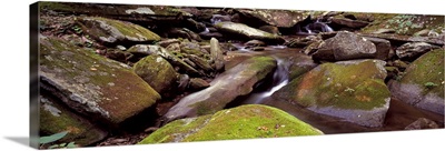 Stream flowing through rocks, Appalachian Mountains, North Carolina,