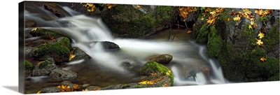 Stream flowing through rocks, Ashland City Park, Ashland, Jackson County, Oregon