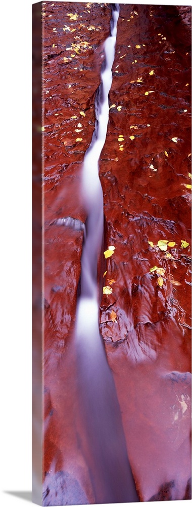 Stream flowing through rocks, North Creek, Zion National Park, Utah, USA