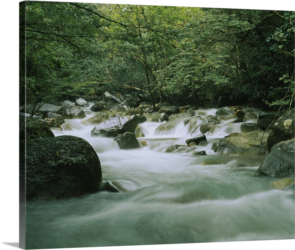 Canvas wall docor of a quick moving stream rushing through a rocky riverbed in a tropical forest.