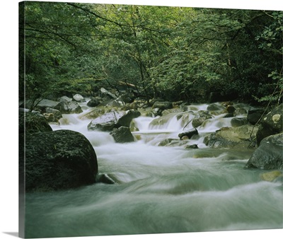 Stream passing through a rainforest, Costa Rica