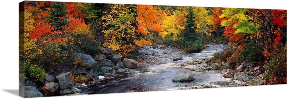 Autumn Forest River CANVAS ART Print Panoramic Picture 