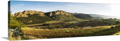 Subsistence farming with fields of newly planted maze around a village, Africa