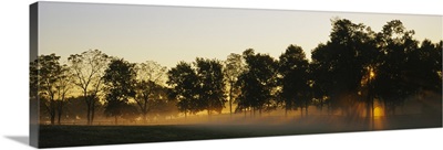 Sunbeams shining through trees, Woodford County, Kentucky