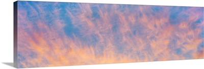 Sunrise colored cirrus clouds dance across the sky at La Jolla
