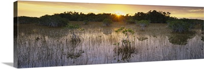 Sunrise over a pond, Everglades National Park, Florida