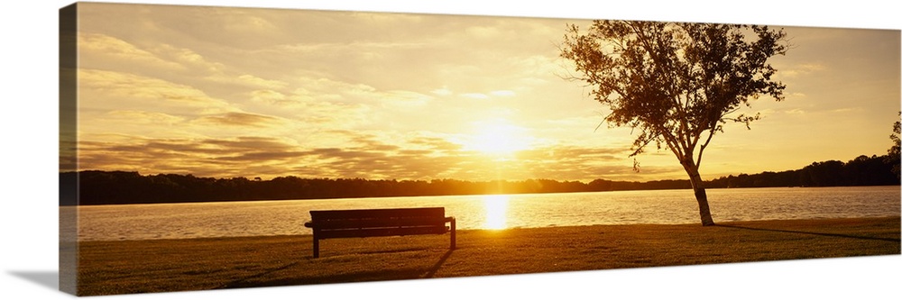 Sunrise with Bench and Birch Tree