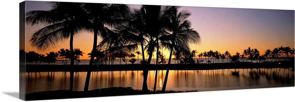 Panoramic photograph taken of a colorful sunset where the silhouette of the palm trees and landscape can be seen reflectin...