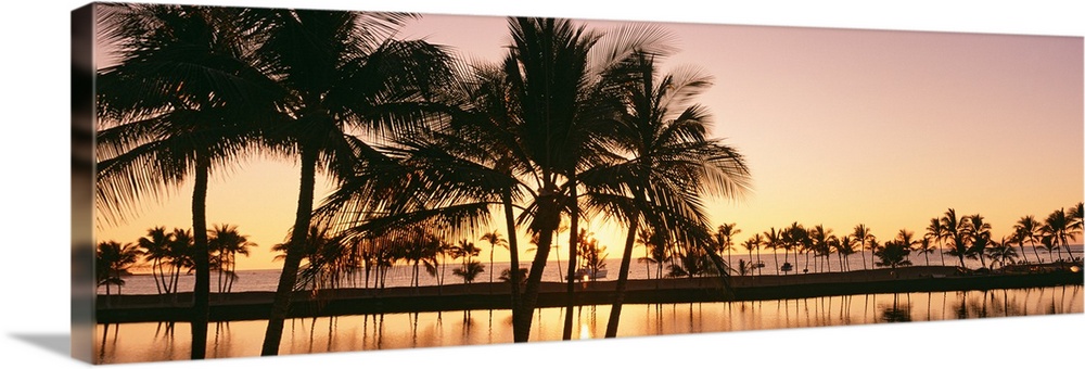 Panoramic photograph taken as the sun begins to set over a landscape filled with palm trees reflecting over the body of wa...