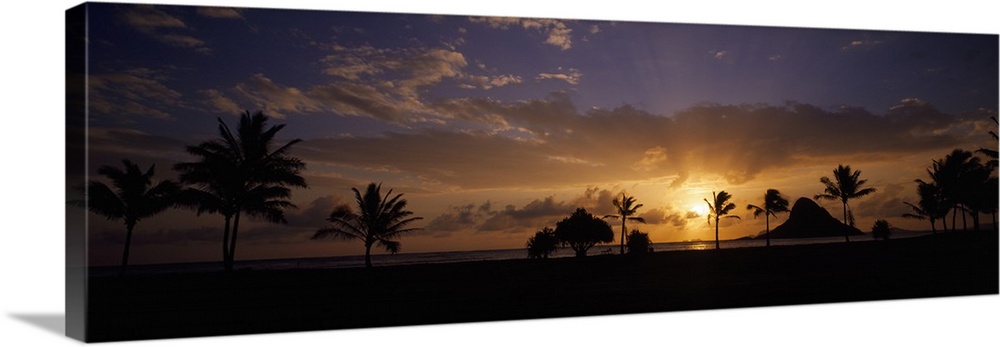 Panoramic photograph taken of a sunset in Hawaii with the land and palm trees silhouetted.