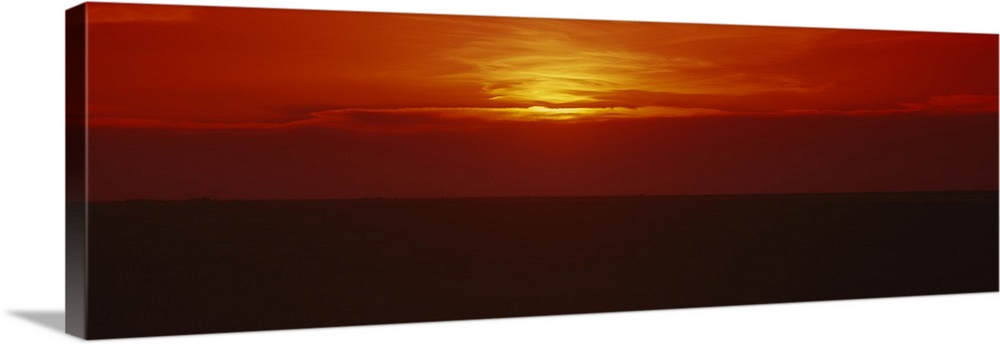 Sunset over a grain field, Carson County, Texas Panhandle, Texas Wall ...