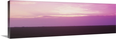 Sunset over a grain field, Carson County, Texas Panhandle, Texas