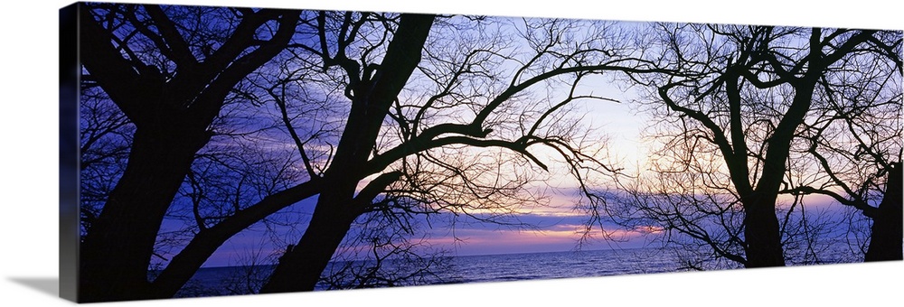 Horizontal panoramic photo of Lake Erie seen between the bare tree branches as the sun sets behind clouds.