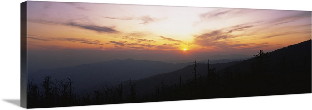 Landscape photograph on a giant canvas of the sun setting behind wispy clouds, over Clingmans Dome in the Great Smoky Moun...
