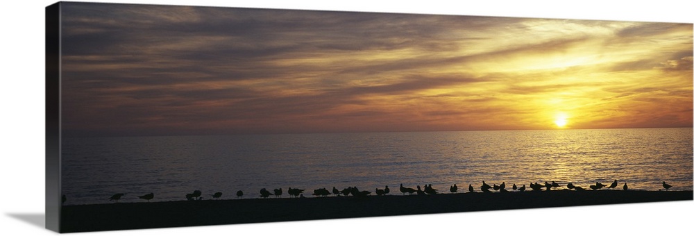 Sunset over a sea, Gulf of Mexico, Venice Beach, Venice, Florida
