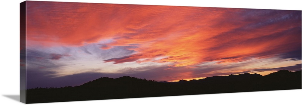 Panoramic photograph on a large wall hanging of the Black Hills National Forest silhouetted beneath a vibrant sunset in a ...