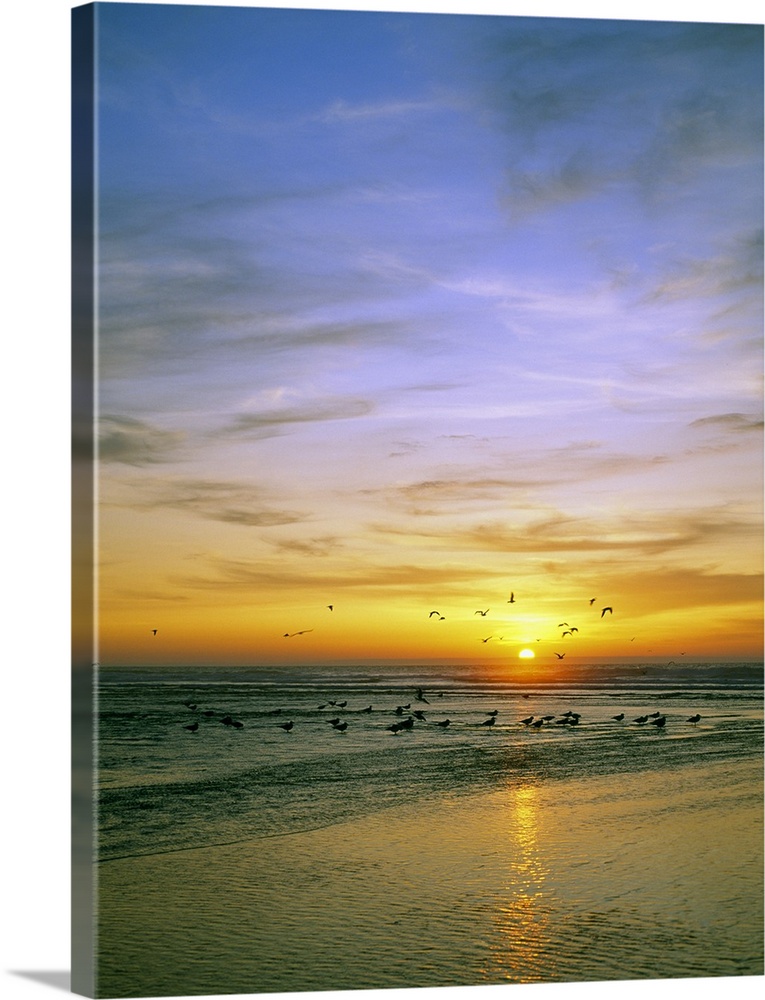 Giant, vertical photograph of a vibrant sunset circled by a flock of birds, some that have landed in the waters of the Sil...