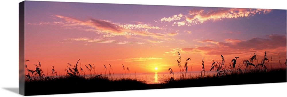 This wall art is a panoramic photograph of silhouetted sea grass in front of a calm sea at the end of the day.