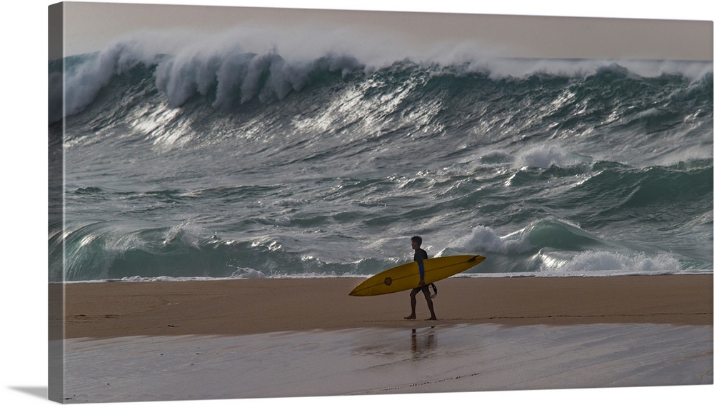 Surfer walking on the beach, Hawaii, USA