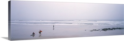 Surfers carrying surfboards on the beach, San Mateo County, California,
