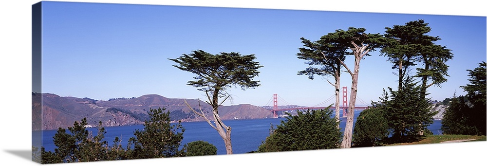 Suspension bridge across a bay, Golden Gate Bridge, San Francisco Bay, San Francisco, California,
