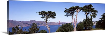 Suspension bridge across a bay, Golden Gate Bridge, San Francisco Bay, San Francisco, California,