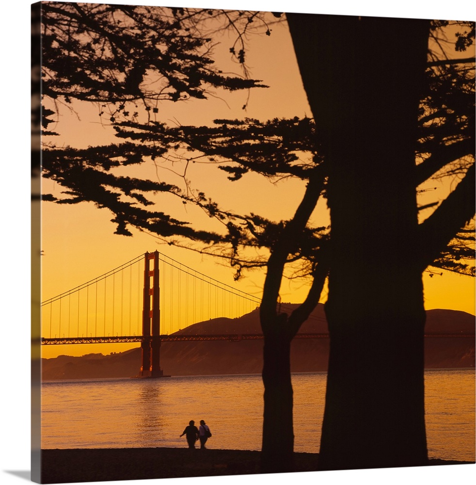 This large piece is a photograph taken from behind a tree that has been silhouetted by the sunset with a view of the Golde...