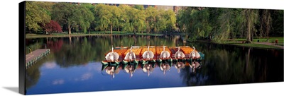 Swan Boats In A Lake, Boston Common, Boston, Suffolk County, Massachusetts, USA