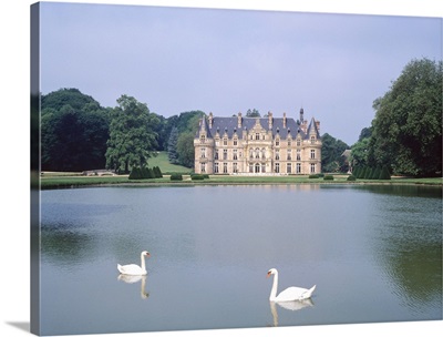 Swan in a lake with a castle in the background