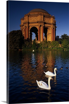Swans and Palace of Fine Arts