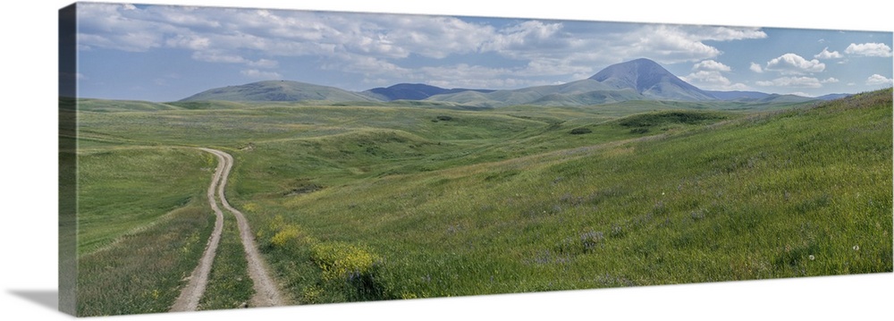 Sweet Grass Hills, Montana, USA