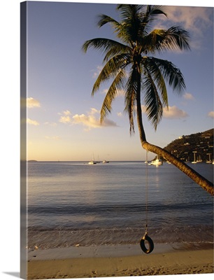 Swing on a palm tree, Cane Garden Bay, Tortola, British Virgin Islands