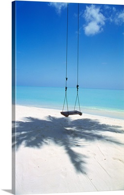 Swing on the beach above palm tree shadow
