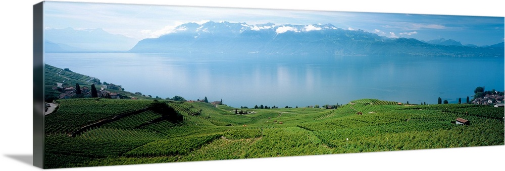 Switzerland, Lake Geneva , landscape