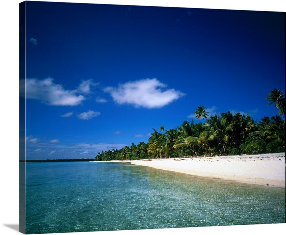 Big photo on canvas of a peaceful beach with calm water and a forest of palm trees.