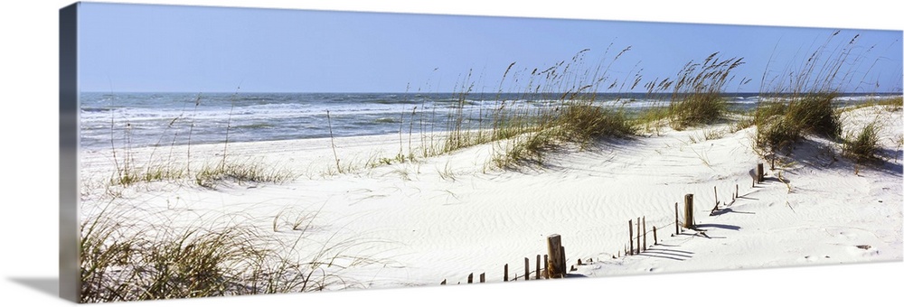 Tall grass on the beach, Gulf Islands National Seashore, Pensacola, Florida II