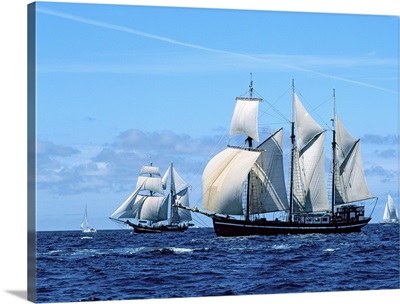 Tall ship regatta in the Baie De Douarnenez, Finistere, Brittany, France