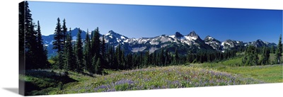 Tatoosh Range Mount Rainier National Park WA
